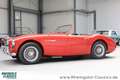 Austin-Healey 3000 BT7 2+2 außergewöhnlicher Zustand Rouge - thumbnail 5