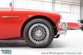 Austin-Healey 3000 BT7 2+2 außergewöhnlicher Zustand Rouge - thumbnail 35