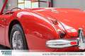 Austin-Healey 3000 BT7 2+2 außergewöhnlicher Zustand Rouge - thumbnail 31