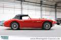 Austin-Healey 3000 BT7 2+2 außergewöhnlicher Zustand Rouge - thumbnail 14