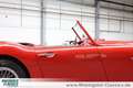 Austin-Healey 3000 BT7 2+2 außergewöhnlicher Zustand Rouge - thumbnail 34