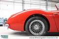 Austin-Healey 3000 BT7 2+2 außergewöhnlicher Zustand Rouge - thumbnail 33