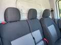 Fiat Doblo 1.6 mjt 16v Lounge 120cv my19 UniPro Iva Esposta Blanc - thumbnail 13