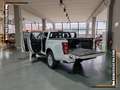 Isuzu D-Max D-Max IV 2021 1.9 td crew N60BB 4x4 auto Bianco - thumbnail 5