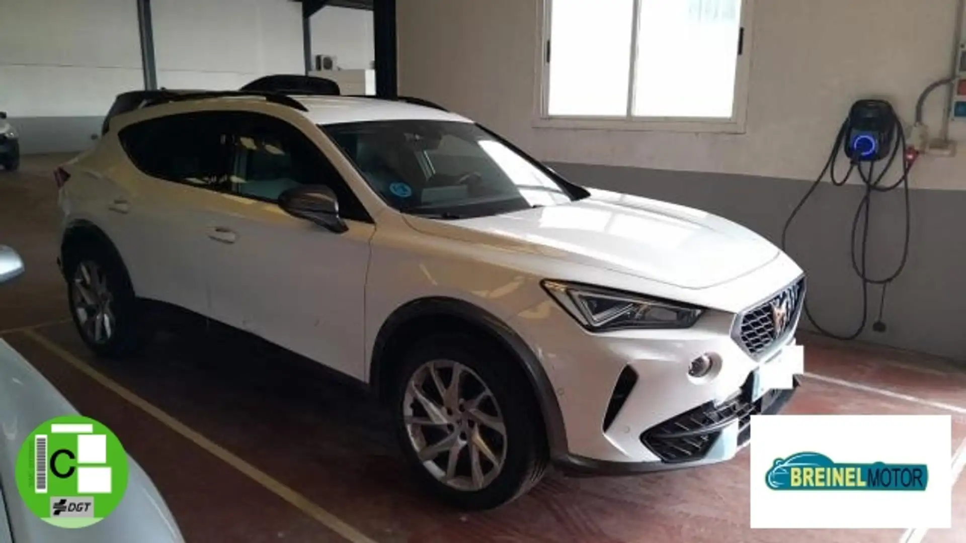 CUPRA Formentor 1.5 TSI 150 Blanc - 1