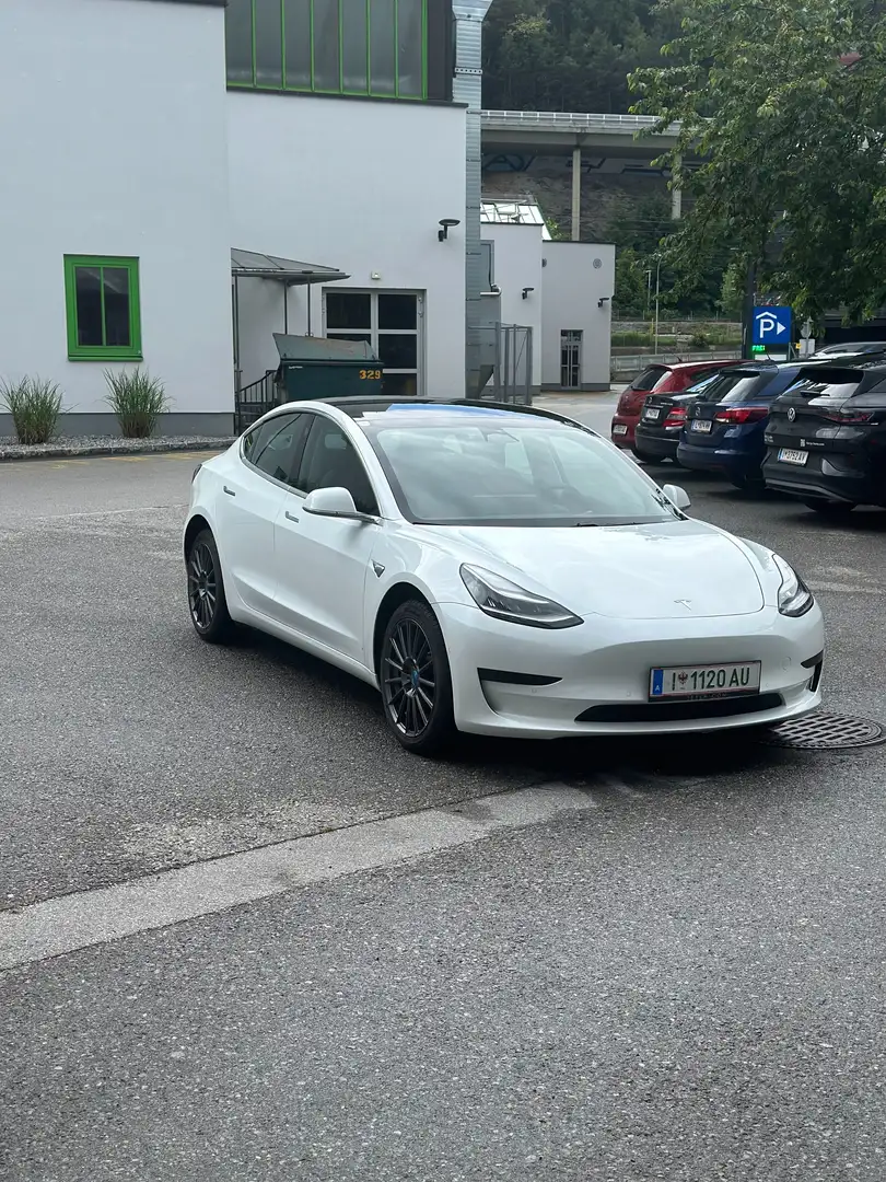 Tesla Model 3 Model 3 Standard Range RWD Plus 57,5kWh RWD Plus Weiß - 1