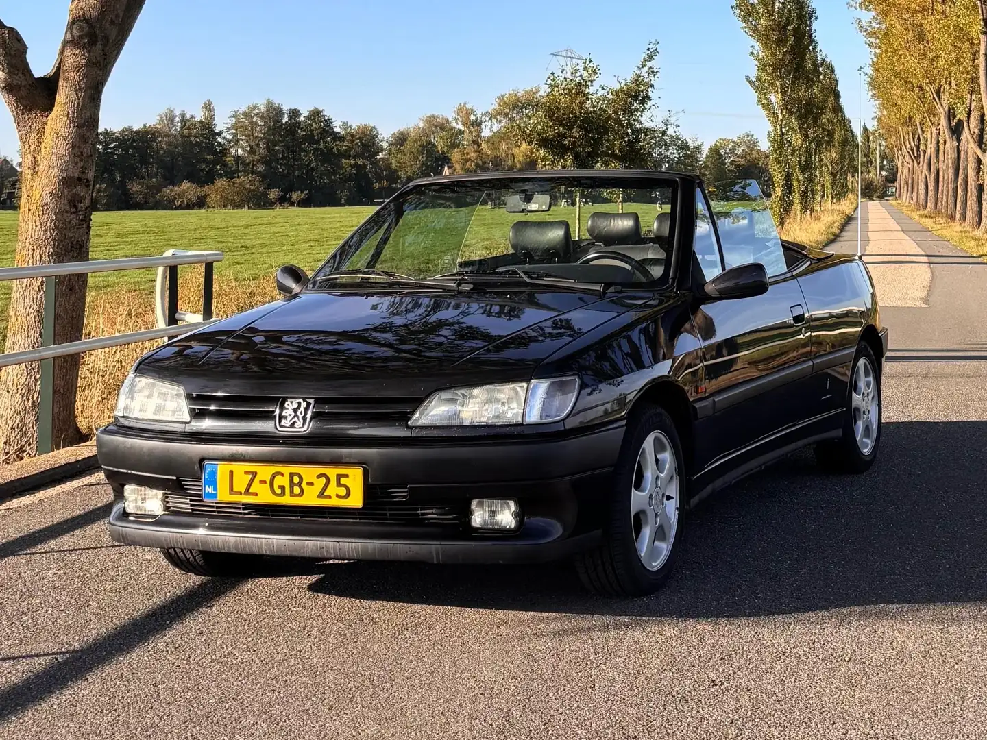 Peugeot 306 Peugeot 306 Cabriolet 2.0 youngtimer Siyah - 1