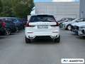 Volvo XC60 T8 AWD Plus Black Edition Plug-In Hybrid Weiß - thumbnail 4