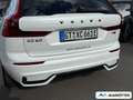 Volvo XC60 T8 AWD Plus Black Edition Plug-In Hybrid Weiß - thumbnail 37