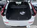 Volvo XC60 T8 AWD Plus Black Edition Plug-In Hybrid Weiß - thumbnail 9