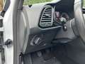 SEAT Leon FR PANO LEDER SPORTFAHRWERK NAVI LED SOUND Weiß - thumbnail 25