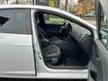 SEAT Leon FR PANO LEDER SPORTFAHRWERK NAVI LED SOUND Weiß - thumbnail 13