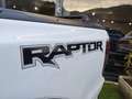 Ford Ranger Ranger Raptor 2.0 tdci double cab 213cv - NO IVA Wit - thumbnail 5