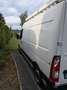 Nissan NV400 2.3 dCi L2H2 Business (E5) Blanc - thumbnail 3