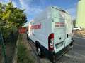 Fiat Ducato FIAT AUTO SPA 250DCM7B BX Bianco - thumbnail 3