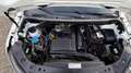 Volkswagen Caddy 1.4 TGI ECOFUEL 81KW 110PK L2H1 MAXI EURO 6 / CRUI Wit - thumbnail 20