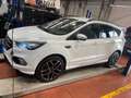 Ford Kuga st-line Blanc - thumbnail 1