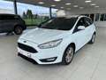 Ford Focus 1.5TDCi Trend 95 - thumbnail 1