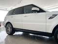Land Rover Range Rover Sport 3.0 SD4 HSE Bianco - thumbnail 4