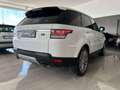 Land Rover Range Rover Sport 3.0 SD4 HSE Bianco - thumbnail 6