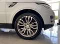 Land Rover Range Rover Sport 3.0 SD4 HSE Bianco - thumbnail 15