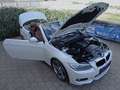 BMW 320 320d Cabrio  M-Sportpaket Topzustand! Weiß - thumbnail 5