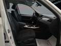 BMW X3 xDrive20d 184 CV Pronta Consegna Blanc - thumbnail 17