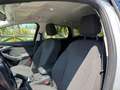 Ford Focus 2.0 TDCi 115CV 5p. Powersh.Tit.DPF Blanc - thumbnail 19