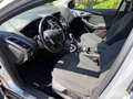 Ford Focus 2.0 TDCi 115CV 5p. Powersh.Tit.DPF Bianco - thumbnail 7