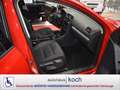 Volkswagen Golf VI 1.6 TDI Move wenig Kilometer Rot - thumbnail 12