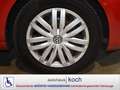 Volkswagen Golf VI 1.6 TDI Move wenig Kilometer Rot - thumbnail 13