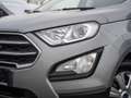 Ford EcoSport Cool&Connect DISPLAY*BC*AHK*WINT.PKT Plateado - thumbnail 18