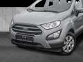 Ford EcoSport Cool&Connect DISPLAY*BC*AHK*WINT.PKT Plateado - thumbnail 3