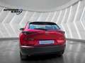 Mazda CX-3 0 Selection AWD ACC Spur Kamera HeadUp Apple Rouge - thumbnail 4