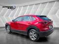 Mazda CX-3 0 Selection AWD ACC Spur Kamera HeadUp Apple Rouge - thumbnail 10