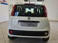 Fiat Panda Panda III 2012 1.3 mjt 16v Easy s Bianco - thumbnail 9