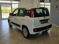 Fiat Panda Panda III 2012 1.3 mjt 16v Easy s Bianco - thumbnail 6