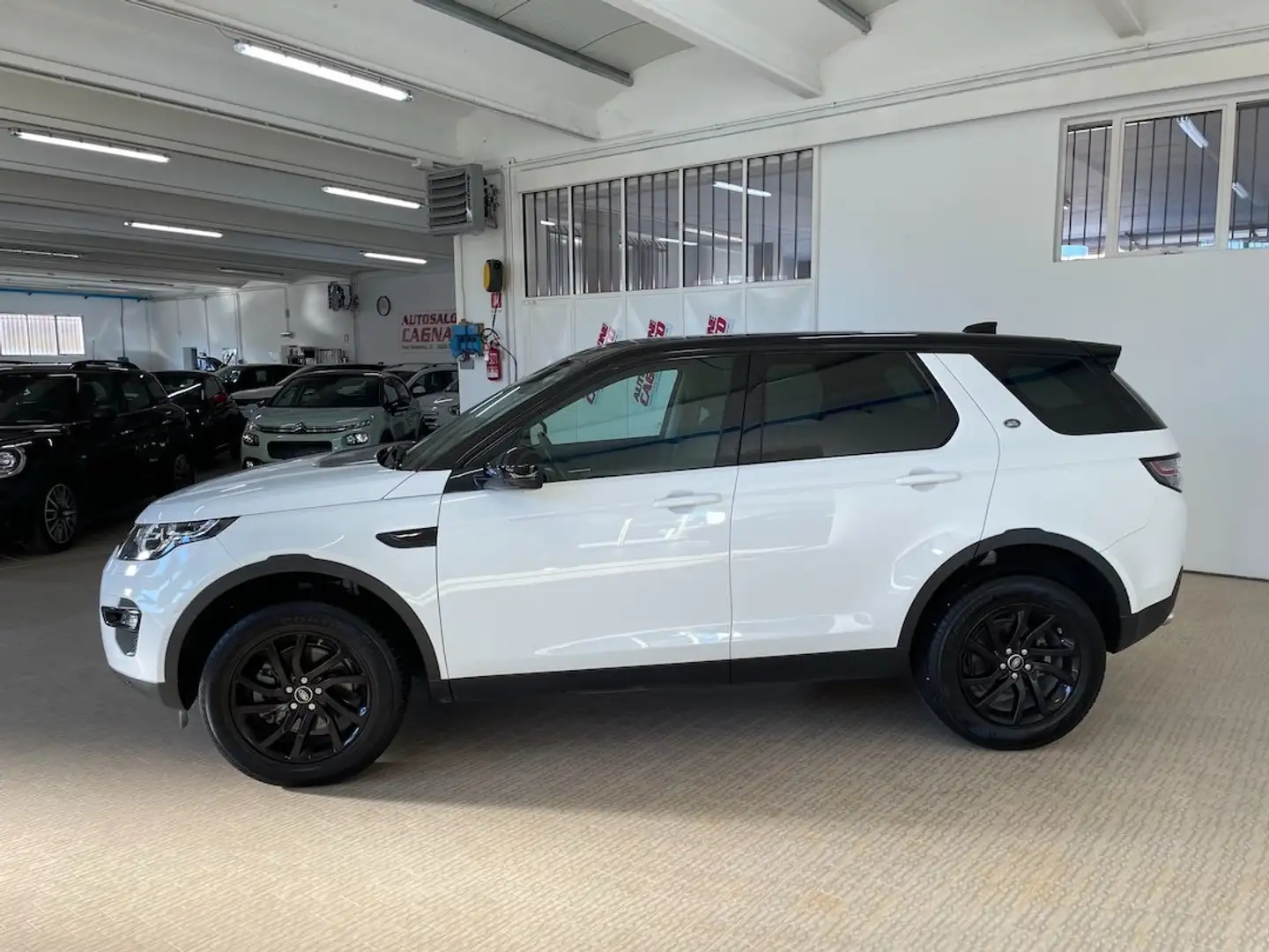 Land Rover Discovery Sport 2.0 TD4 150 CV 2wd BLACK PACK+XENO+NAVI+CERCHI18" Bianco - 1