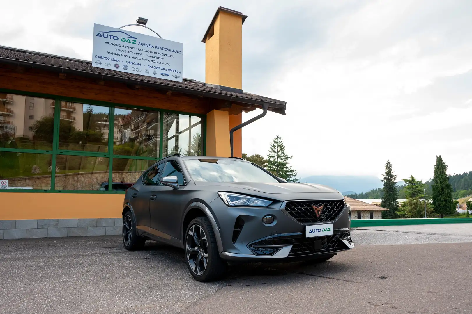 CUPRA Formentor 2.0 TSI 4Drive DSG Grigio - 1