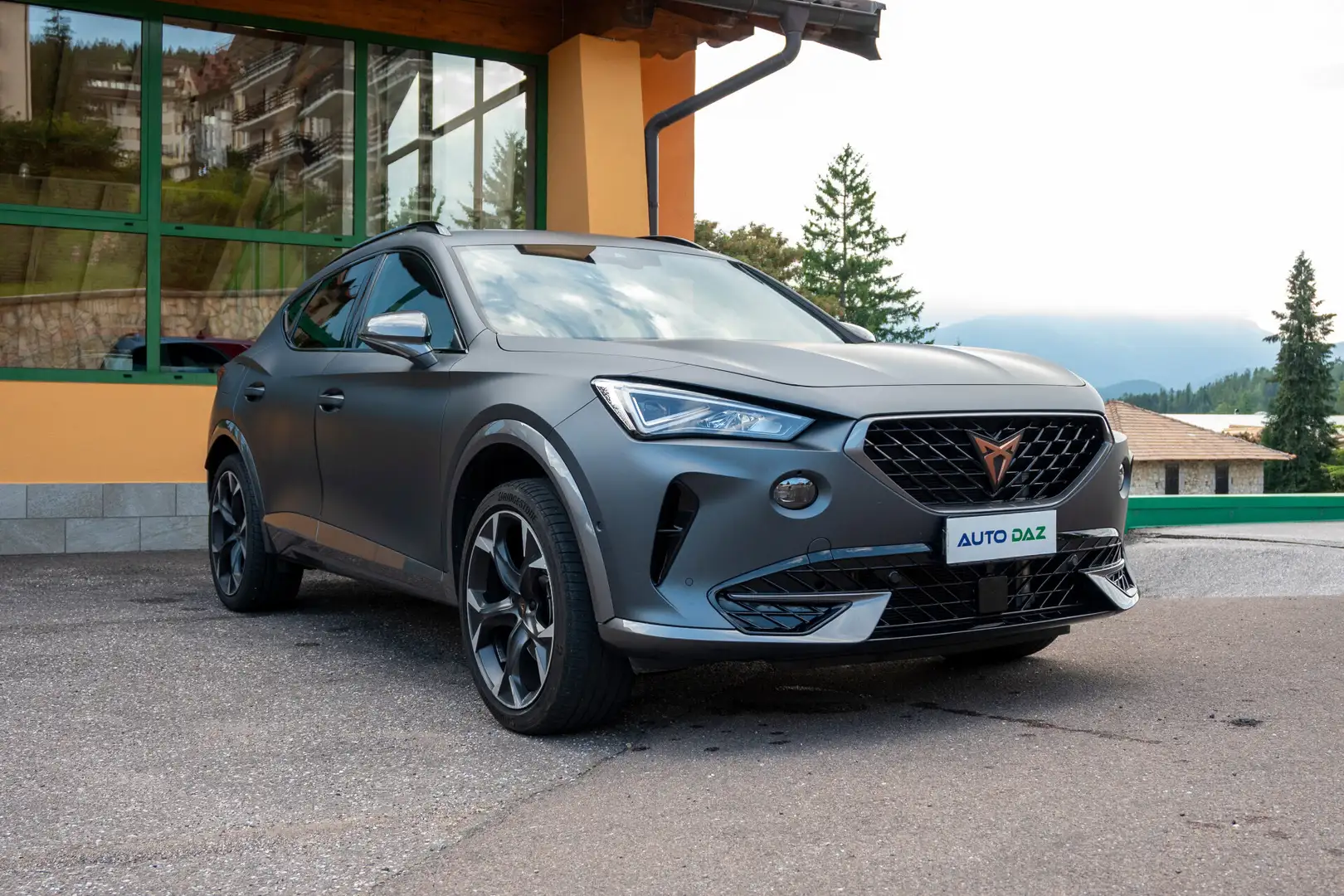 CUPRA Formentor 2.0 TSI 4Drive DSG Grigio - 2