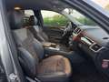 Mercedes-Benz ML 350 BlueTEC 4Matic SPORT *SERVICE MERCEDES*UNIPROP* Grigio - thumbnail 13
