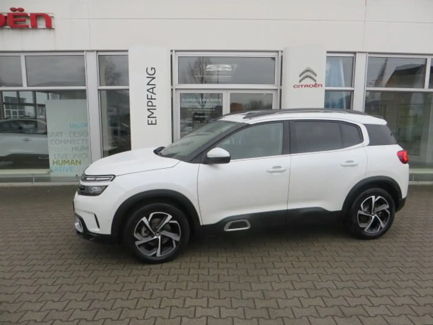 Citroen C5 Aircross Shine Weiß - 2