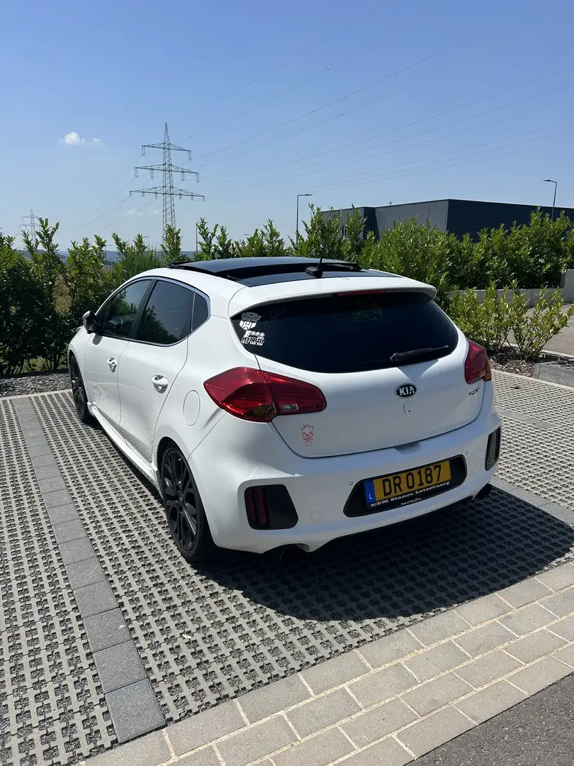 Kia Ceed / cee'd 1.6 T-GDI GT-Challenge - 2