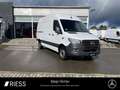 Mercedes-Benz Sprinter 317 CDI KA/L2H2/3665/AUTOMATIK/MBUX/NAVI/ Blanc - thumbnail 1