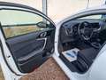 Kia Ceed SW / cee'd SW Sportswagon HU neu KLIMAAUTOMATIK Checkheft bei KI Weiß - thumbnail 7