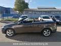 Volkswagen Eos 1.4 TSI BlueMotion * Leder * Navi * Klimaaut Braun - thumbnail 12