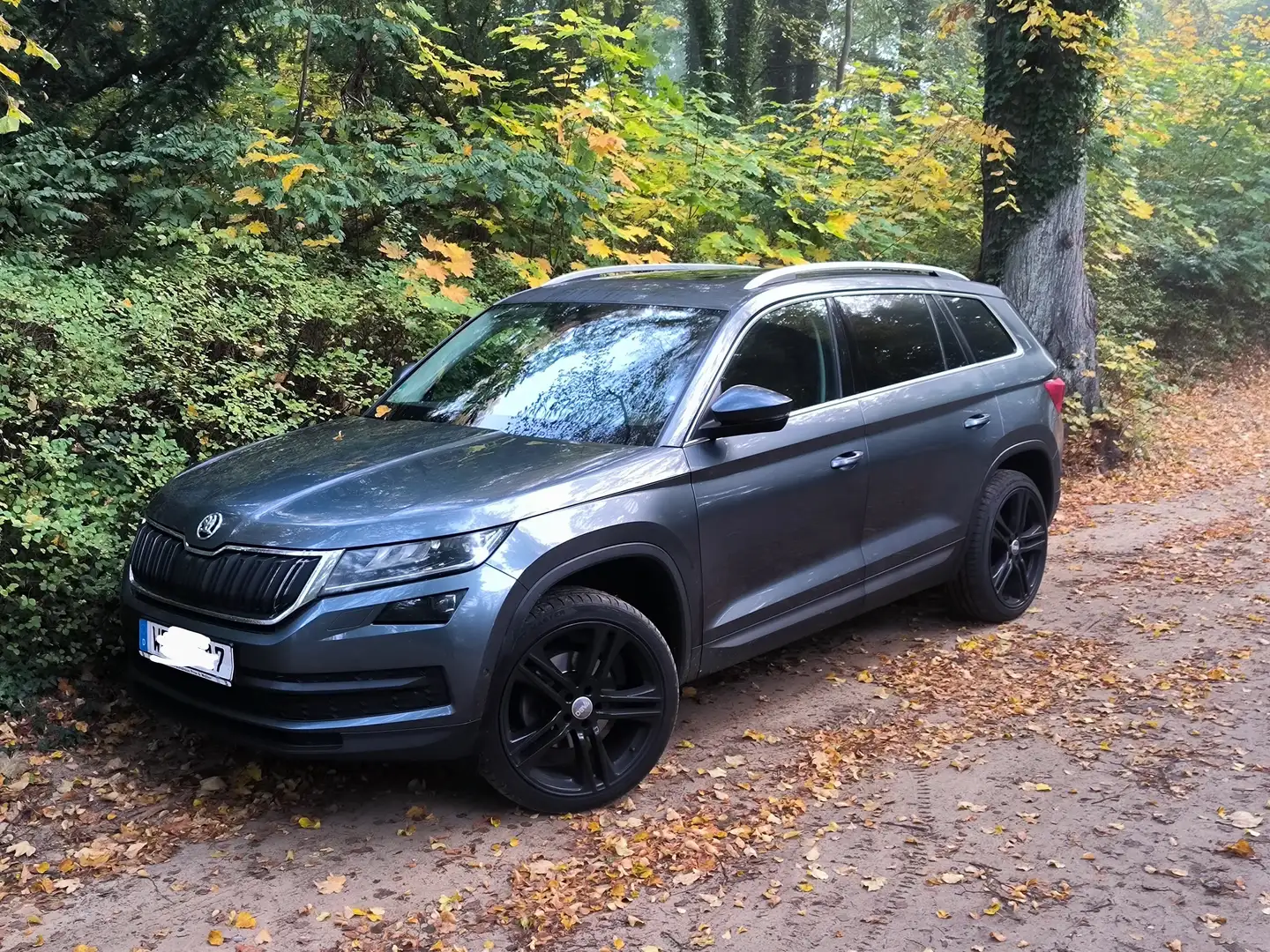 Skoda Kodiaq Kodiaq Diesel 2.0 TDI 4x4 Style Grau - 1