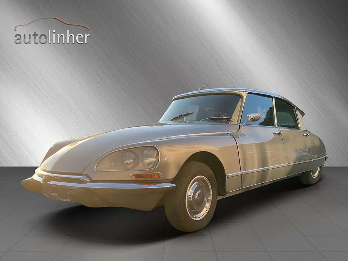 Citroen 21 Pallas Szary - 1