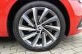 Skoda Octavia 1.4 TSI iV 'First Edition' #DSG #ACC #NAVI Rot - thumbnail 24