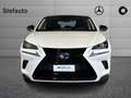 Lexus NX 300 Hybrid 4WD Sport Weiß - thumbnail 4